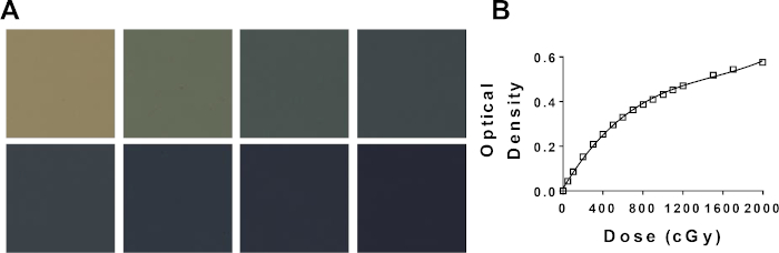 Optical density analysis; (A) color changes, (B) dose-response graph, radiotherapy effect.