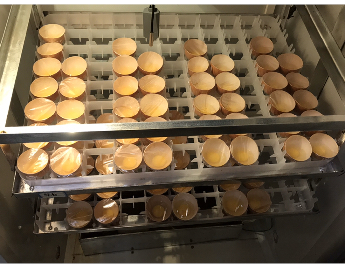 Incubator with stacked petri dishes for microbial culture growth in laboratory experiment setup.