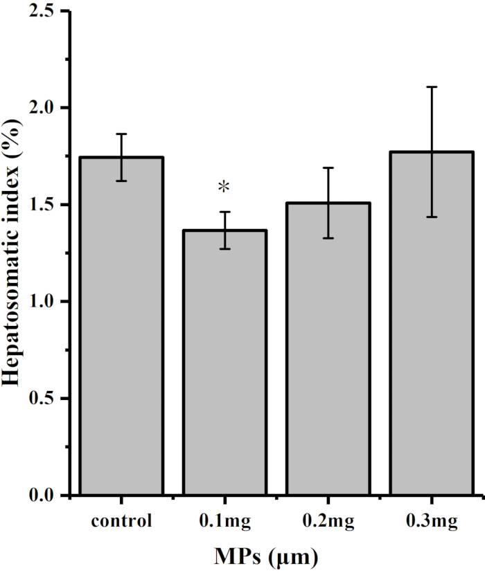 Bar graph of hepatosomatic index showing effects of microplastics concentration on fish.