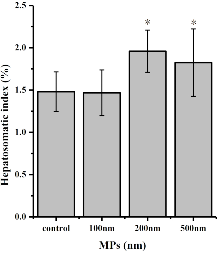 Hepatosomatic index comparison with varying MPs sizes; bar graph showing statistical results.