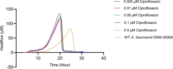figure-results-1 Heatflow vs. time graph showing ciprofloxacin effect on A. baumannii; biochemical reaction kinetics.