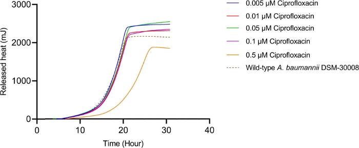figure-results-2 Thermal growth curve chart; Ciprofloxacin effect on A. baumannii; Heat release over time.