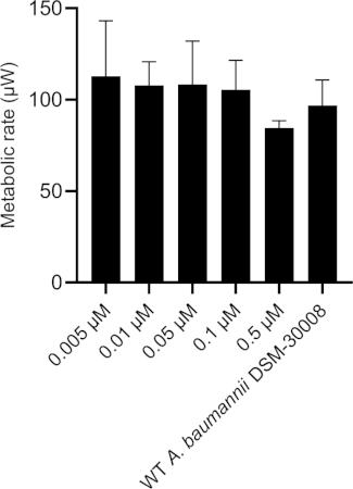 figure-results-4 Bar chart displaying metabolic rate (μM) across different concentrations of A. baumannii DSM-30008.