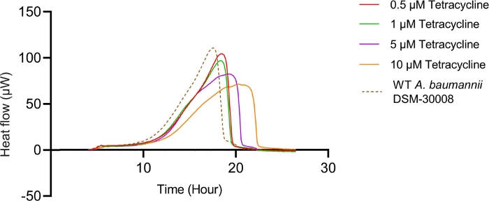 figure-results-5 Heat flow vs. time graph in tetracycline experiment showing drug concentration impact on A. baumannii growth.