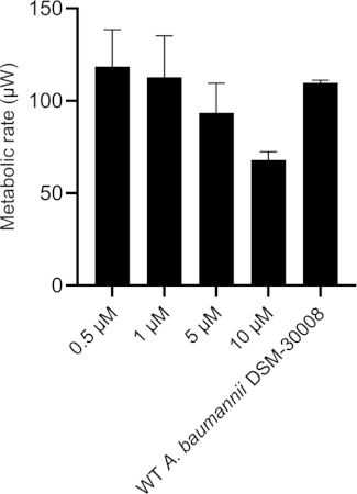 figure-results-8 Bar chart of metabolic rate (µM) for A. baumannii at varying concentrations (0.5-10 µM).
