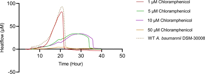 figure-results-9 Heatflow vs. time graph, chloramphenicol concentrations, microbial response analysis, drug effect study.