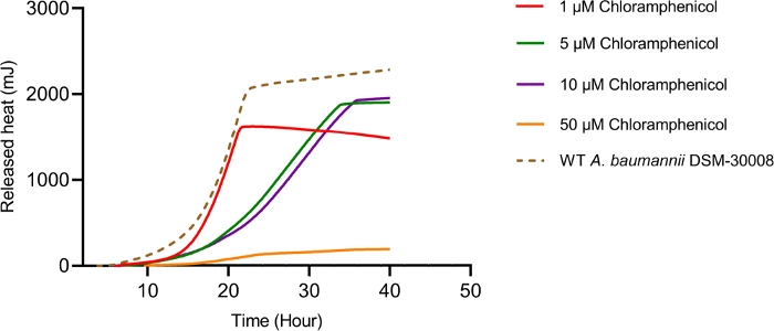 figure-results-10 Heat release vs. time graph; chloramphenicol effect on bacterial growth; calorimetry results.