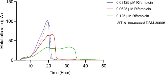 figure-results-13 Metabolic rate vs. time graph; Rifampicin impact on A. baumannii; antibiotic concentration study.