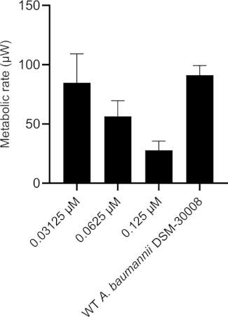 figure-results-16 Bar chart of A. baumannii metabolic rate at varying μM concentrations, showing experimental results.