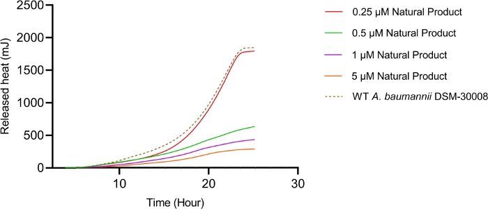 figure-results-18 Thermal output graph; heat release vs time for A. baumannii with varying natural product concentrations.