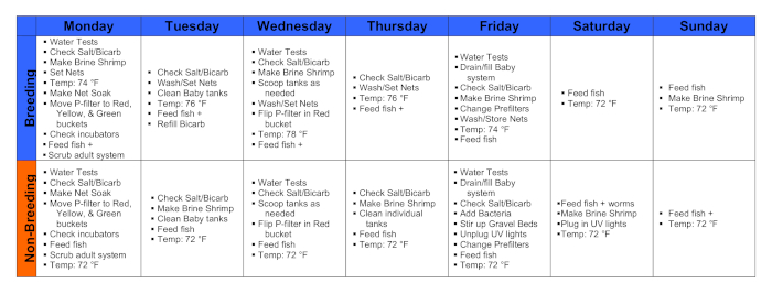 Breeding schedule chart; tasks, temperatures for aquaculture maintenance; weekly timeline grid.
