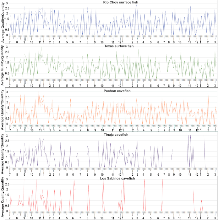 figure-results-1 Fish behavior analysis; line graphs; comparing quality quantity of cavefish vs surface fish species.