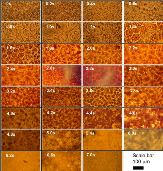 Time-lapse crystallization process, microscope image series, scale bar 100 μm, structural formation.