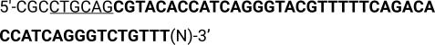 Static equilibrium equations, ΣFx=0 and ΣFy=0, diagram illustrating mechanical balance principles.