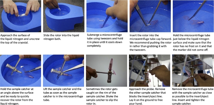 Cryogenic process steps with microcentrifuge tube; liquid nitrogen, rotor positioning, sample capture.