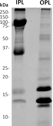 figure-results-5 figure-results-5
