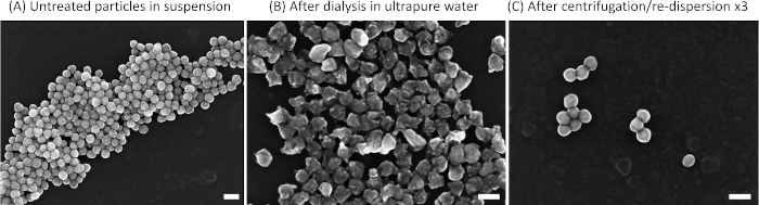 figure-results-4 Particle treatment SEM images showing suspension, dialysis, centrifugation for aggregation analysis.