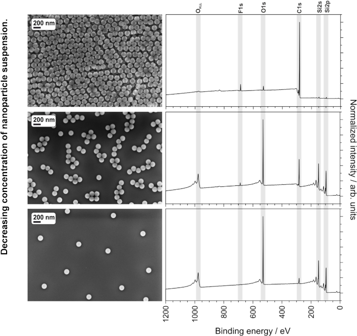figure-results-7 Nanoparticle concentration and binding energy analysis; SEM images and corresponding XPS spectra.