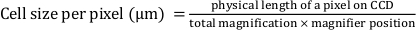 Cell size calculation formula, showing pixel size on CCD over magnification and position.
