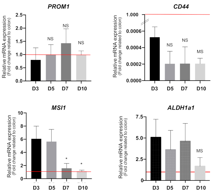 figure-results-8 Gene expression bar charts; mRNA levels for PROM1, CD44, MSI1, ALDH1a1 at days D3, D5, D7, D10.