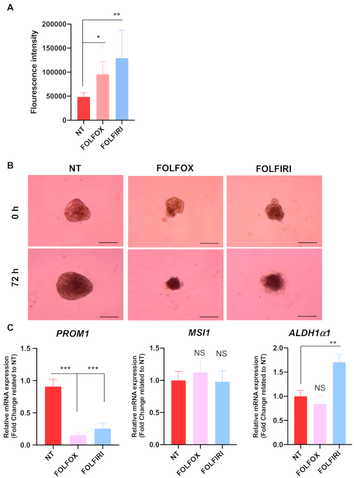 figure-results-9 Fluorescence intensity chart, cell growth images, mRNA expression graphs for drug treatments.
