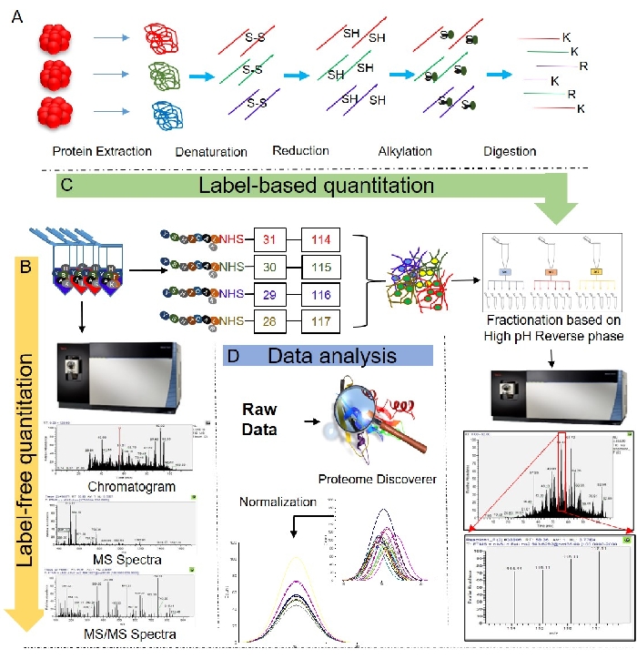 Comprehensive Workflow of Mass Spectrometry-based Shotgun Proteomics of ...
