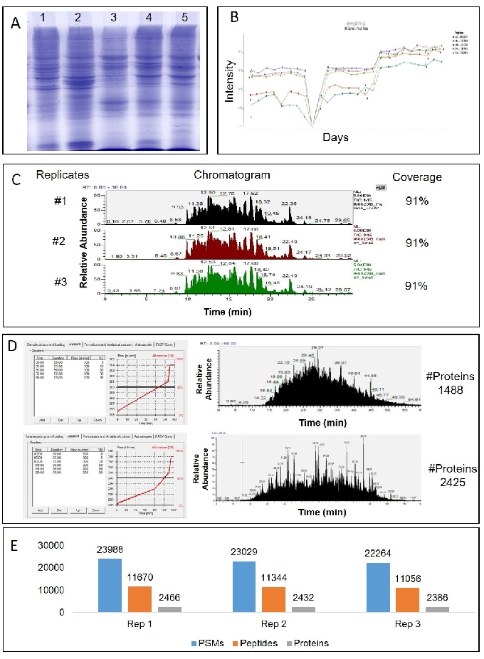 Comprehensive Workflow of Mass Spectrometry-based Shotgun Proteomics of ...