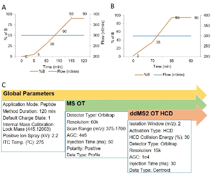 Comprehensive Workflow of Mass Spectrometry-based Shotgun Proteomics of ...