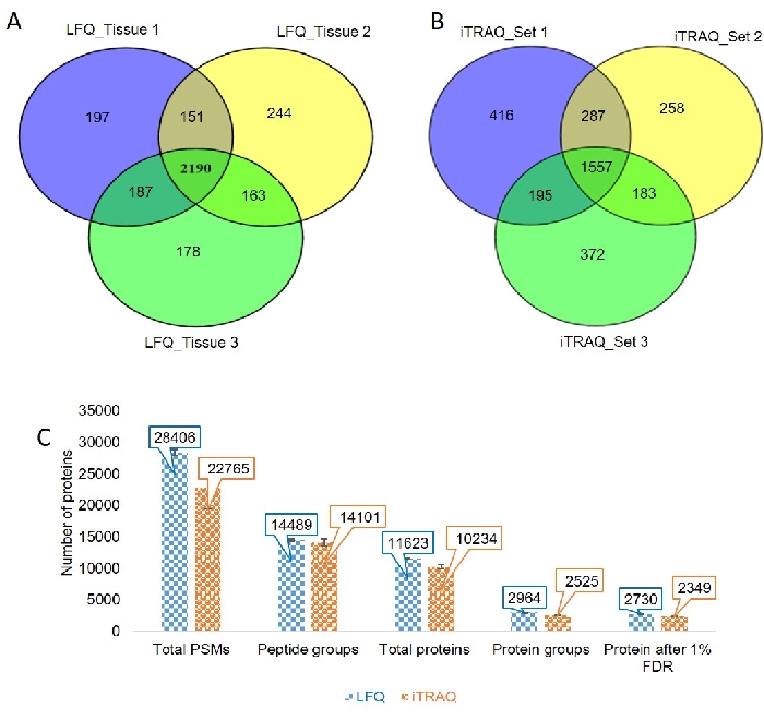 Venn diagrams and bar chart comparing LFQ and iTRAQ proteomics data across tissues and datasets.
