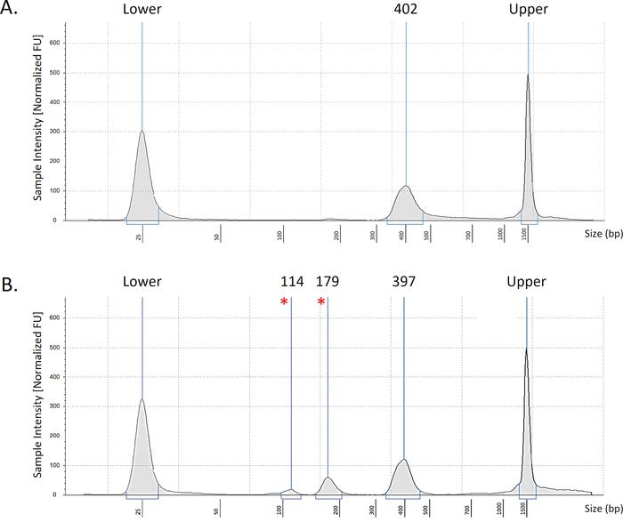 T and B Cell Receptor Immune Repertoire Analysis using Next-generation ...