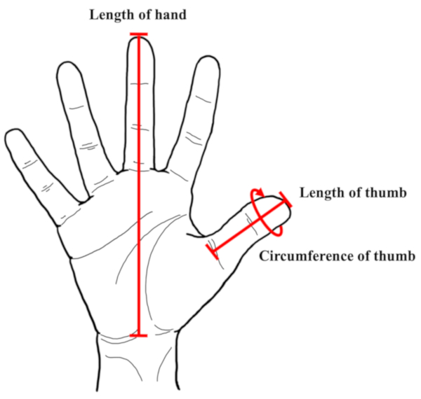 figure-protocol-2