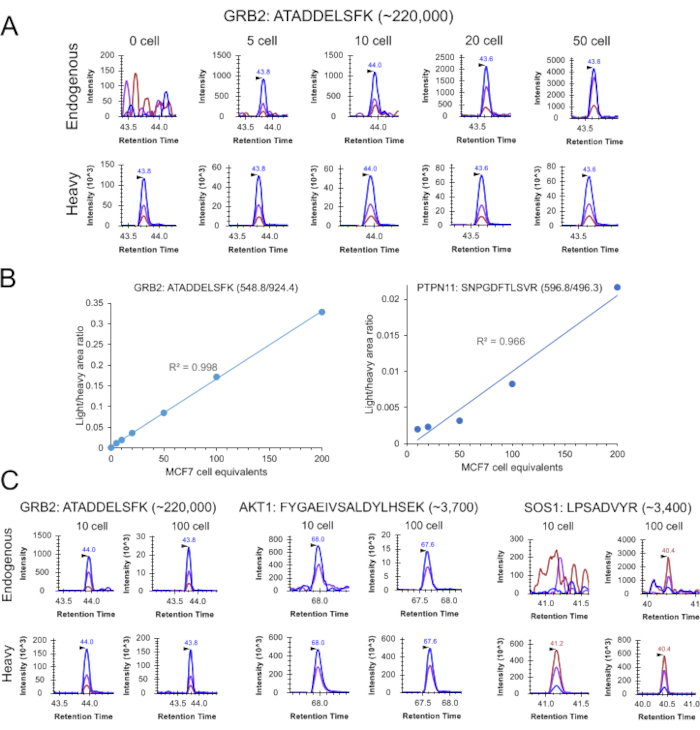 Mass spectrometry data analysis; protein quantification graphs and retention time plots; MCF7 cells.