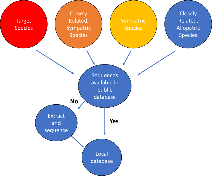 figure-results-1 Species data processing flowchart: sequences database check, extraction, local database storage.