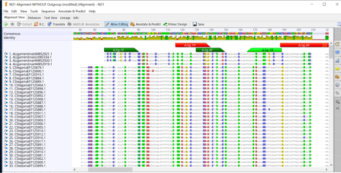 figure-results-2 DNA sequence alignment diagram; multiple sequence comparison; genetic variations analysis.