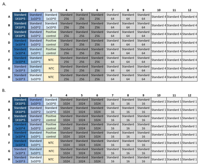 figure-results-4 Microplate data layout for qPCR analysis; standard curve, positive control, NTC setup.