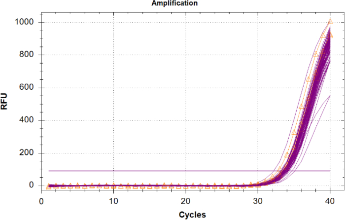 figure-results-6 qPCR amplification plot; RFU vs. cycle number; fluorescence detection; DNA quantification graph.