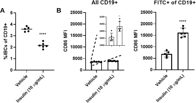 CD19+ immune cell response to insulin; bar chart, graph analysis; CD86 MFI, cellular activation.