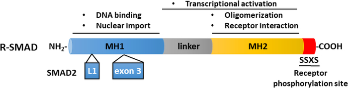 figure-results-2