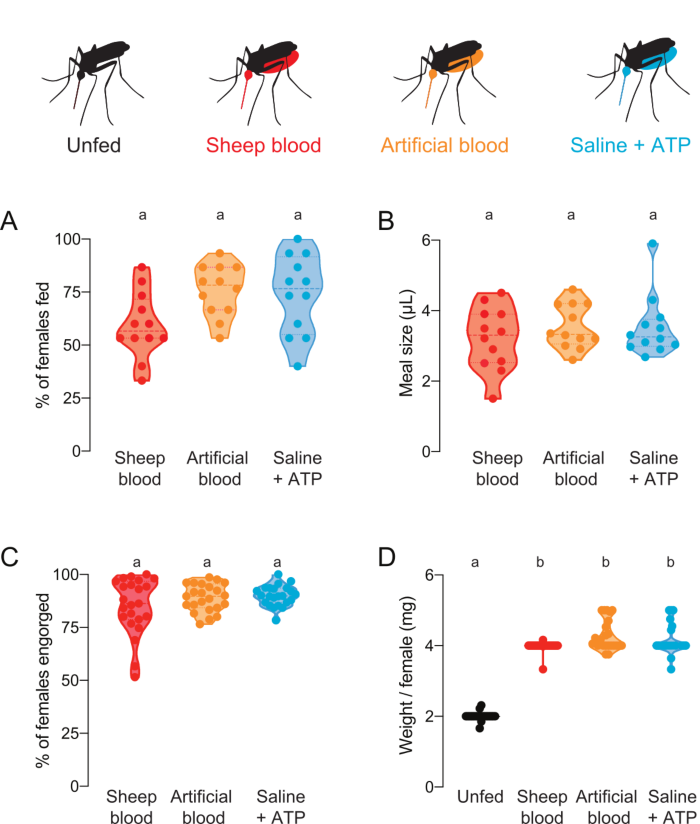 figure-results-4 Mosquito feeding and nutrition analysis; violin plots comparing sheep, artificial blood, saline+ATP.