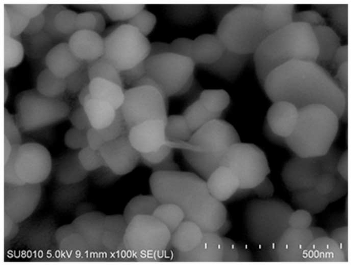 Scanning electron microscope image showing nanoscale particle aggregation at 100,000x magnification.