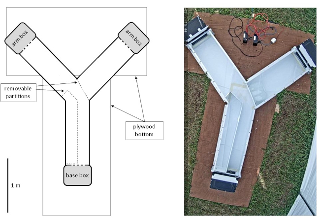 figure-protocol-1