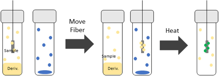 figure-introduction-6 Static equilibrium process with diagram for sample preparation and extraction method.