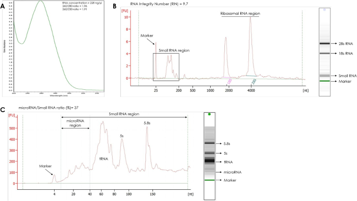 RNA analysis; gel electrophoresis result; spectral data; ribosomal RNA; microRNA quantification.