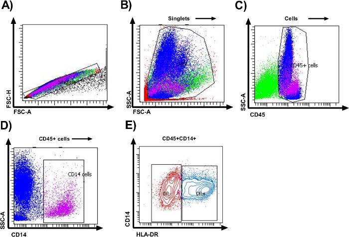 Flow cytometry analysis charts; CD45+ and CD14+ cell population identification and gating strategy.