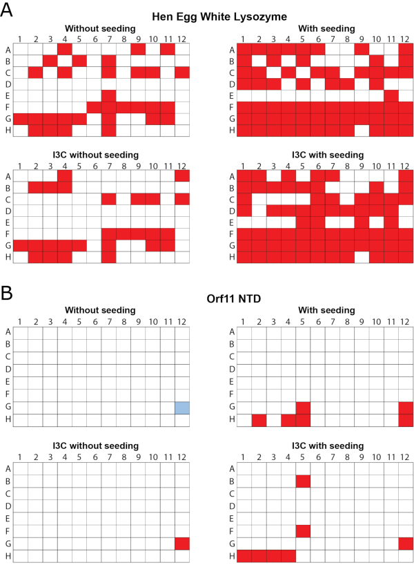 Protein crystallization results; microplate assays; Hen Egg White Lysozyme, Orf11 NTD; seeding effects.