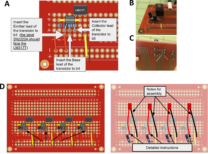 Transistor circuit assembly diagram with LM317T, labeled steps, and detailed wiring on protoboard.