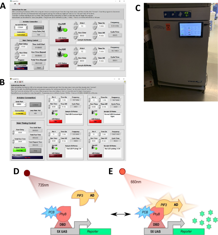 LED control interface, incubation setup, phytochrome signaling diagram in optical experiment.