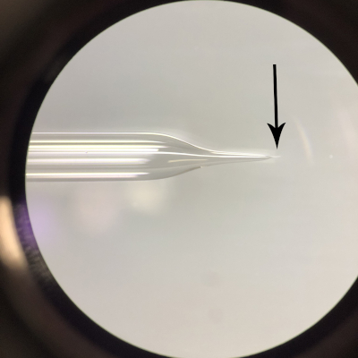 Microscopy image of capillary tip setup for microinjection experiment, highlighting precision.