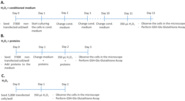 figure-protocol-5