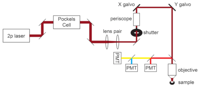 figure-results-1
